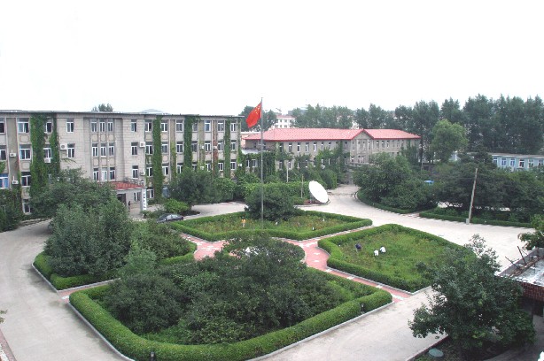 |ԴVIF
